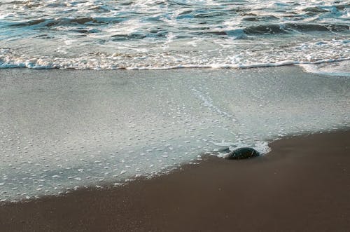 คลังภาพถ่ายฟรี ของ คลื่น, ชายหาด, ทราย