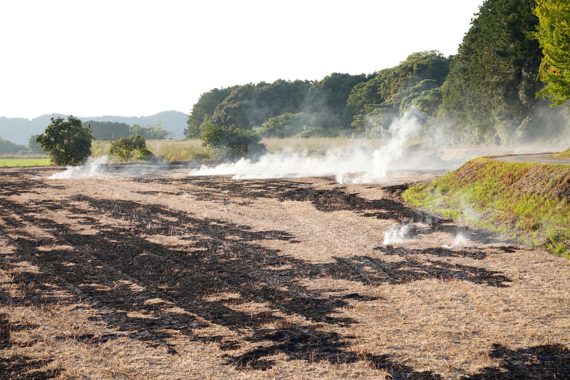 Smoke ascends from a recently burnt field in a lush rural landscape, bordered by trees.