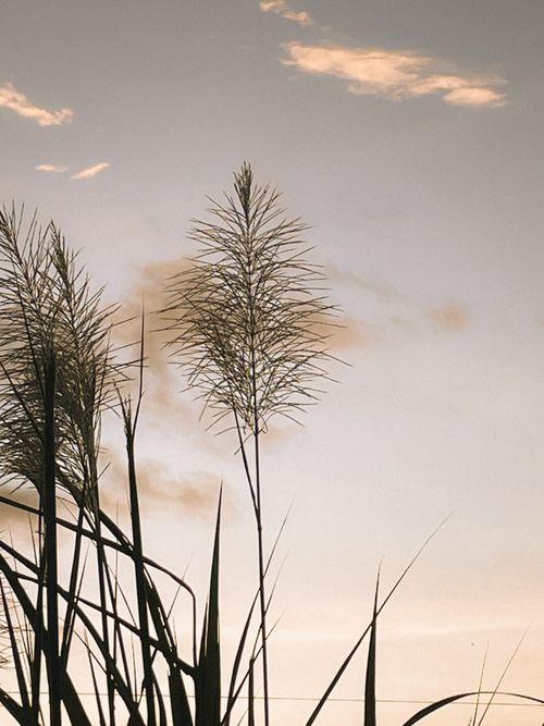 Free Before Dark Stock Photo