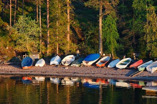 Бесплатное стоковое фото с вода, деревья, лодки