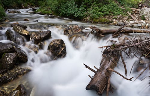 Wild River in Summer