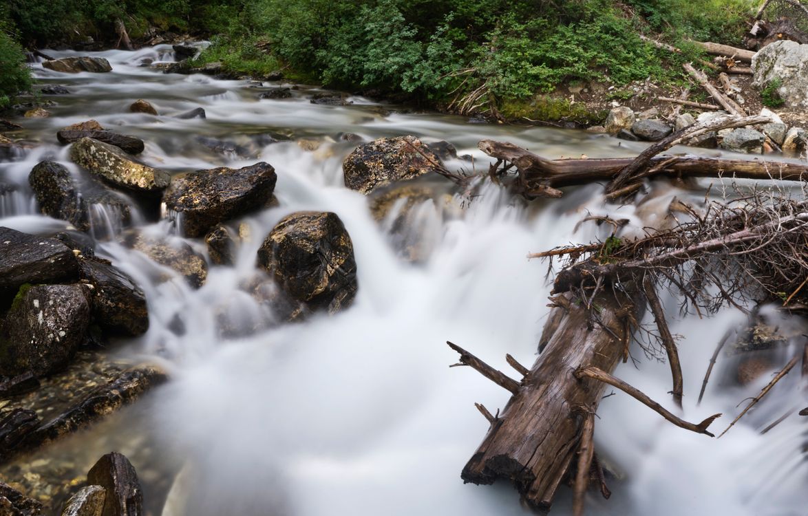 Wild Rivers Pics Wild River in Summer · Free Stock Photo