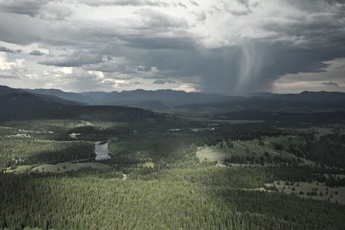 Fotos de stock gratuitas de bosques, cielo impresionante, clima extremo