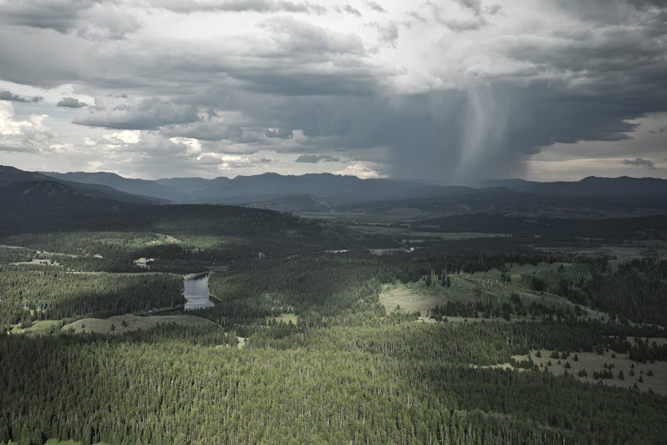 Extreme Weather Events: The Impact and Importance of Preparedness