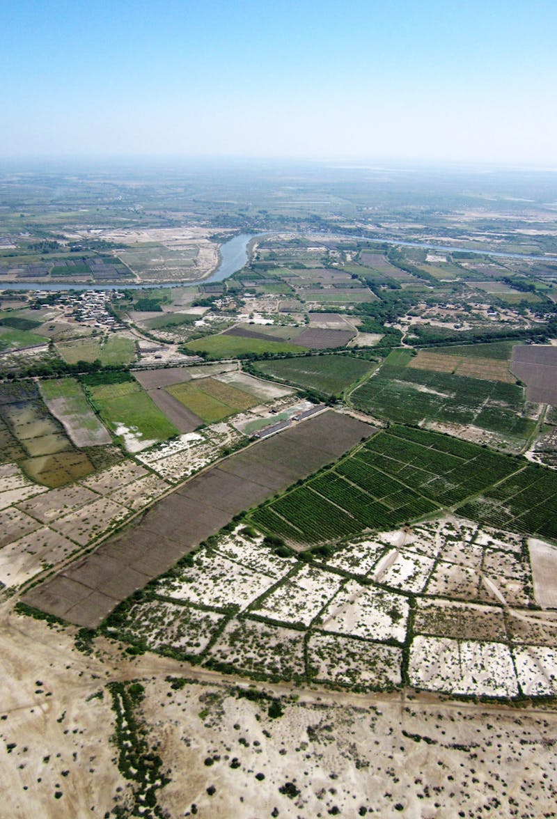 Professional shot of pure Himalayan Shilajit resin with a focus on the texture and color
