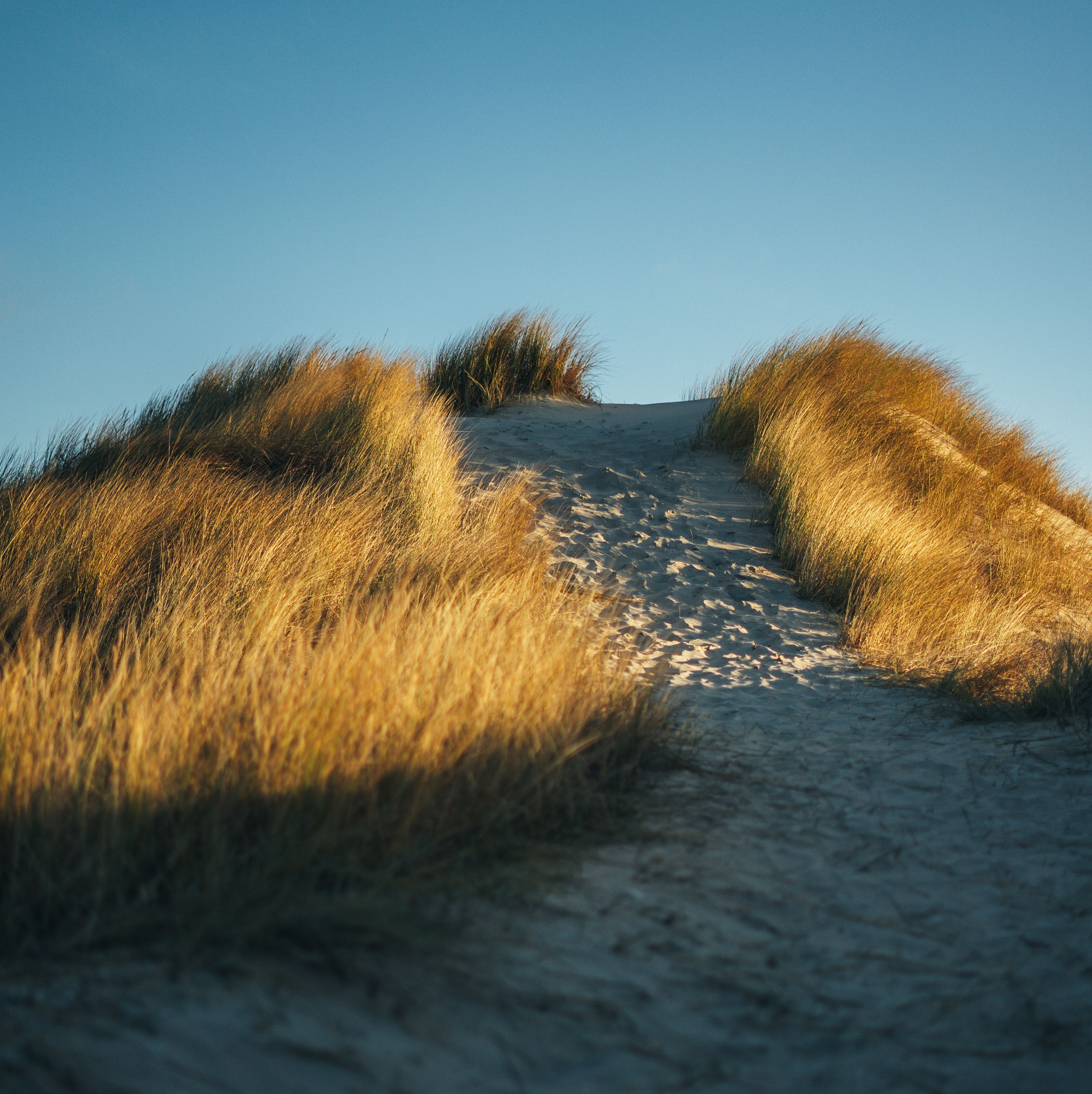 The Path Toward Recovery