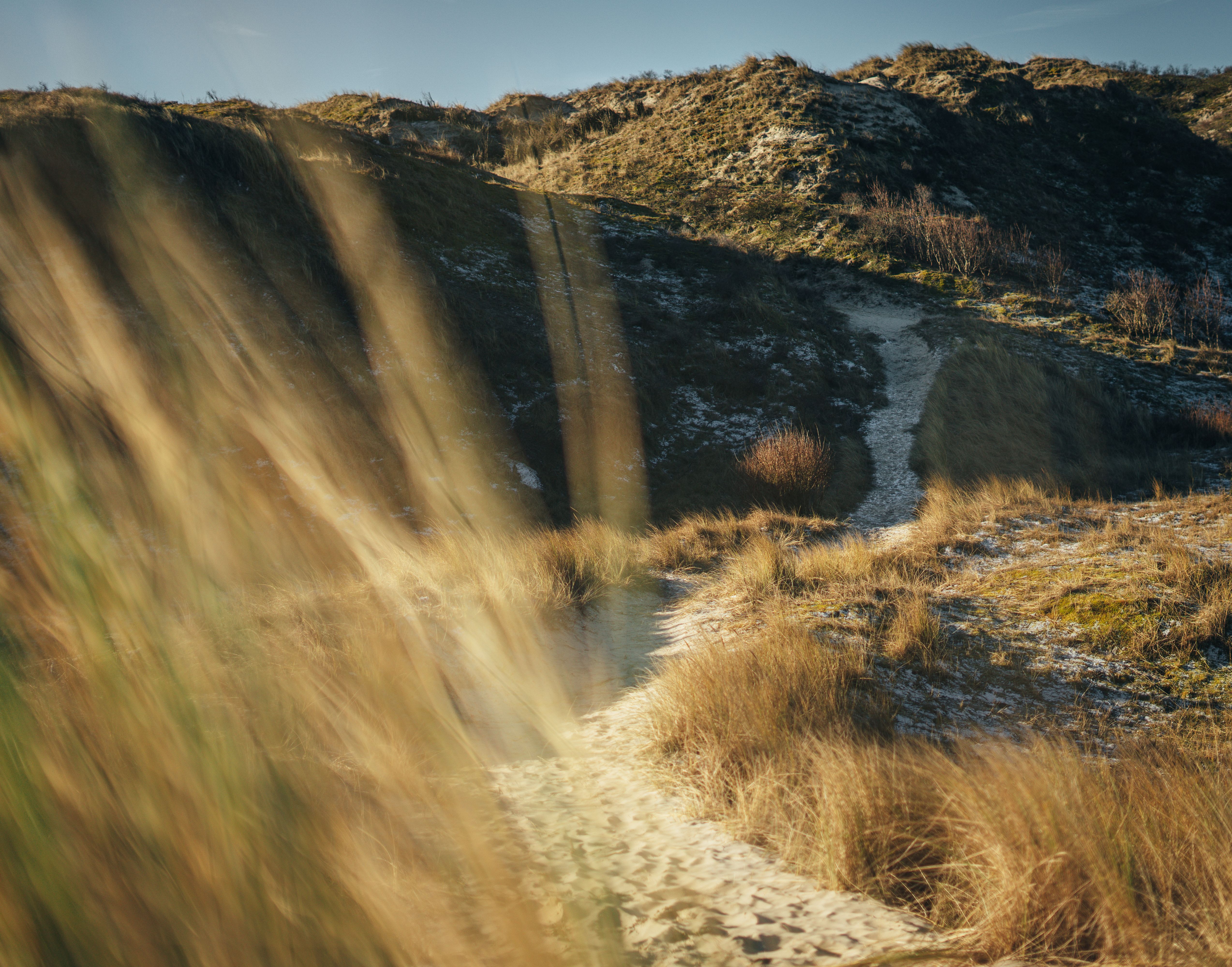 Cycling path through coastal dunes