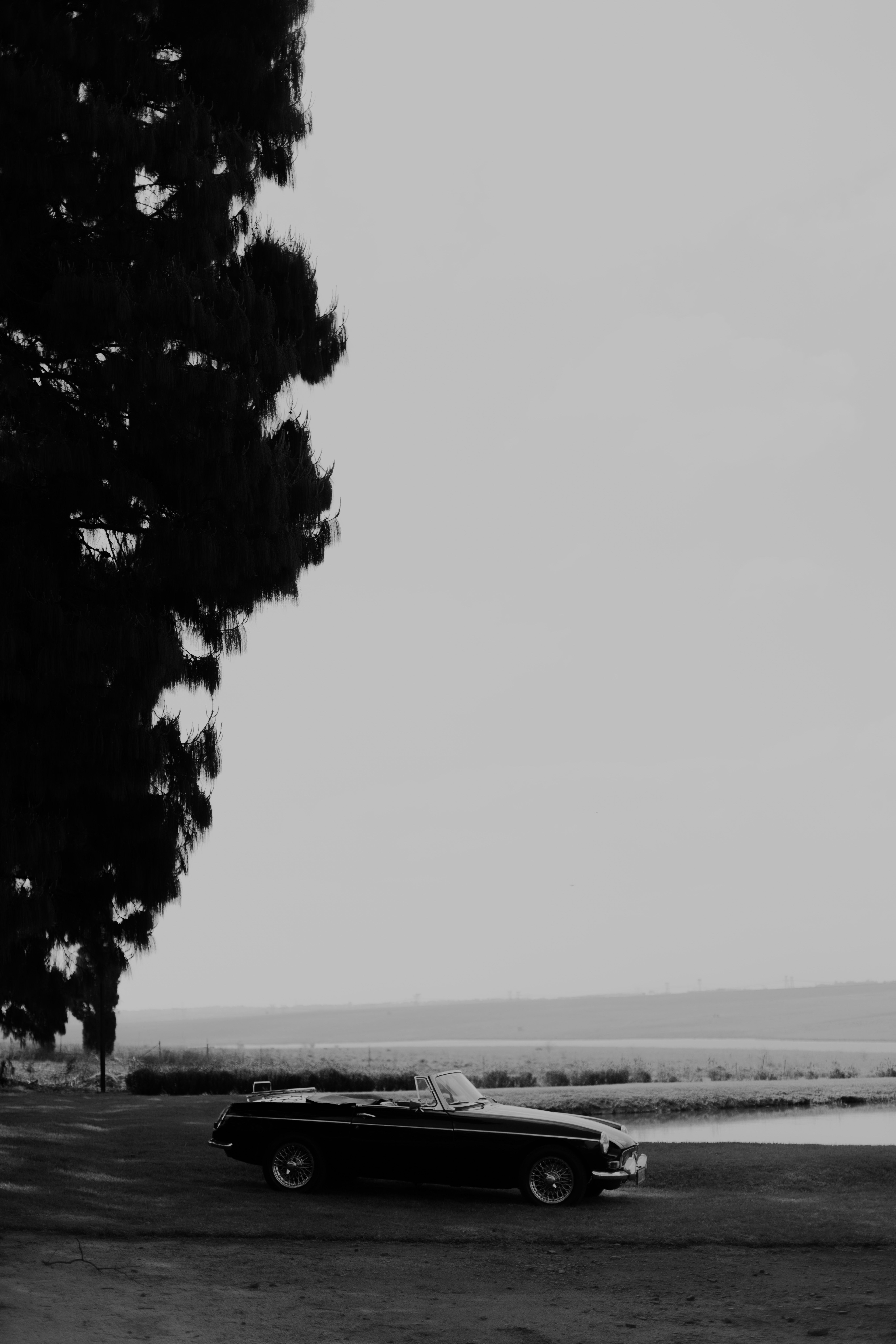 Vintage Car Next to a Tree in Black and White · Free Stock Photo