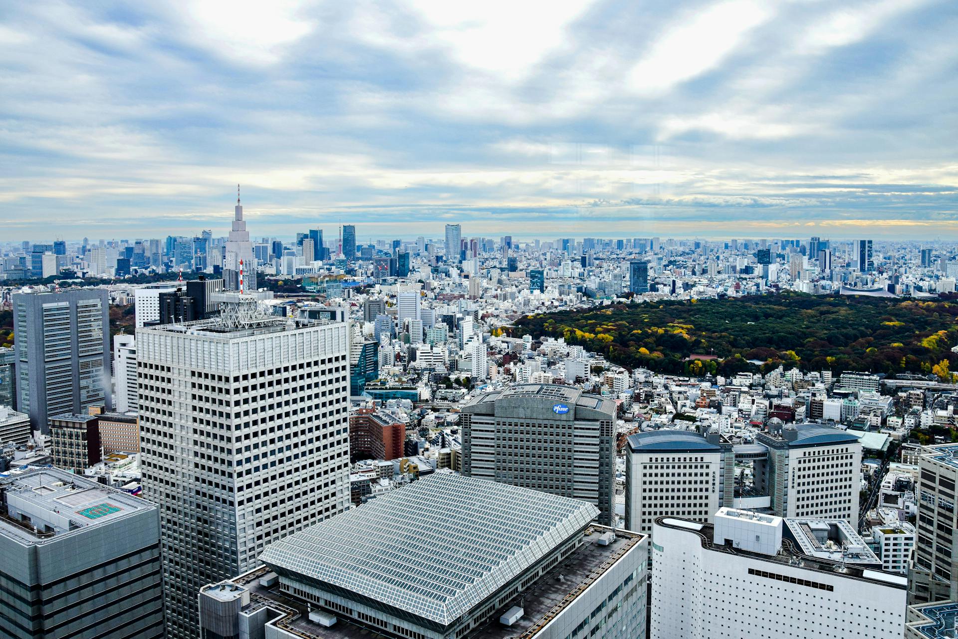 Panorama of Tokyo Cityscape with a Park among High-Rise Buildings