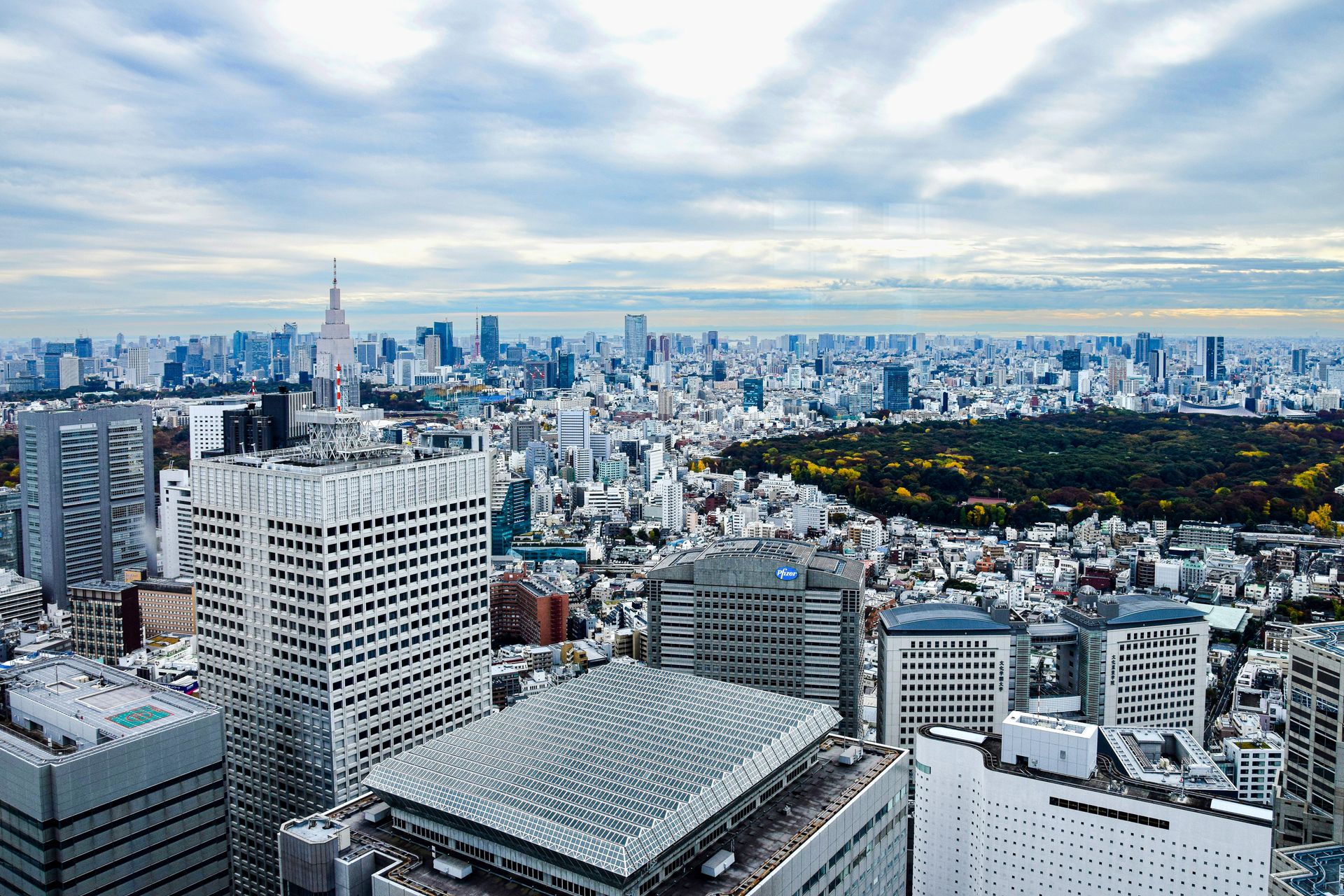 Tokyo silüeti ve finans bölgesinin panoramik manzarası