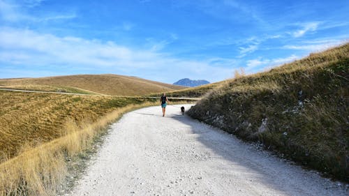 Kostenloses Stock Foto zu außerorts, feldweg, gehen