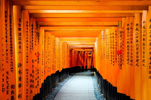 Fotos de stock gratuitas de camino torii, Japón, kyoto