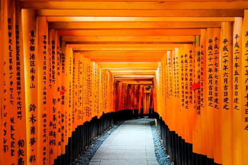 Free Explore the vibrant orange torii path of Fushimi Inari-Taisha Shrine in Kyoto, Japan. Stock Photo