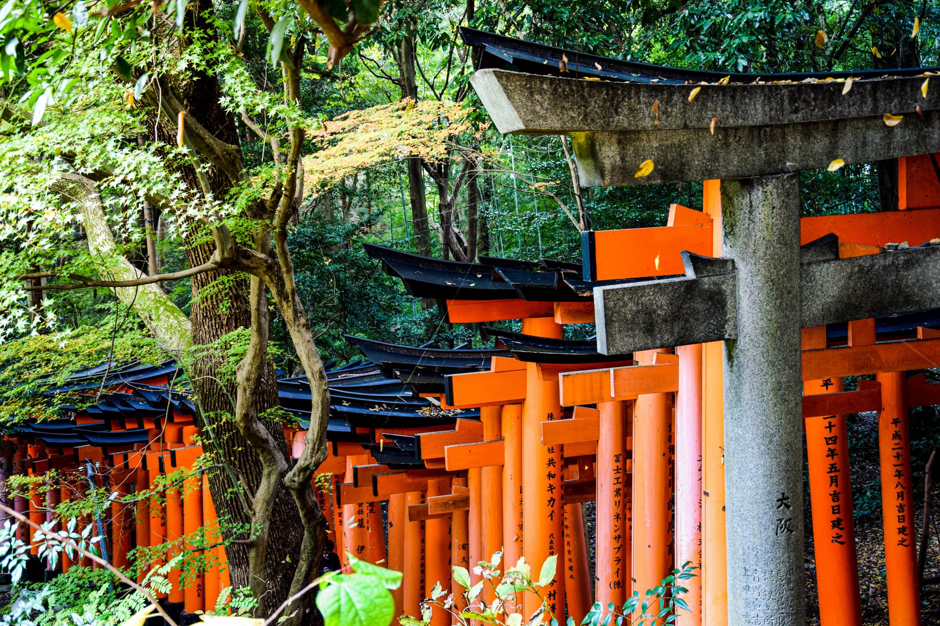 Kyoto, Japan