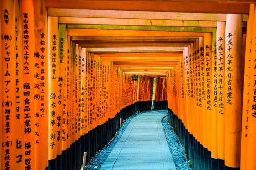 Free A striking view of the iconic orange torii gates at Fushimi Inari Shrine in Kyoto, Japan. Stock Photo