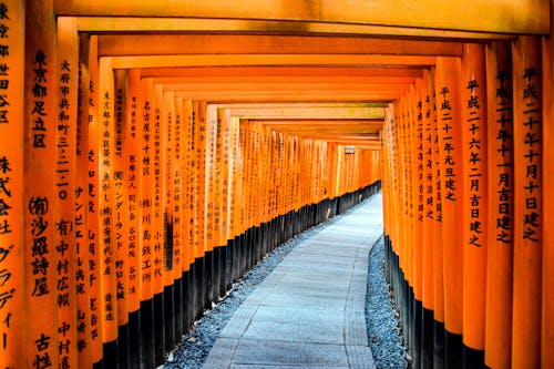 Torii Gates in Fushimi Inari Shrine, Kyoto, Japan 