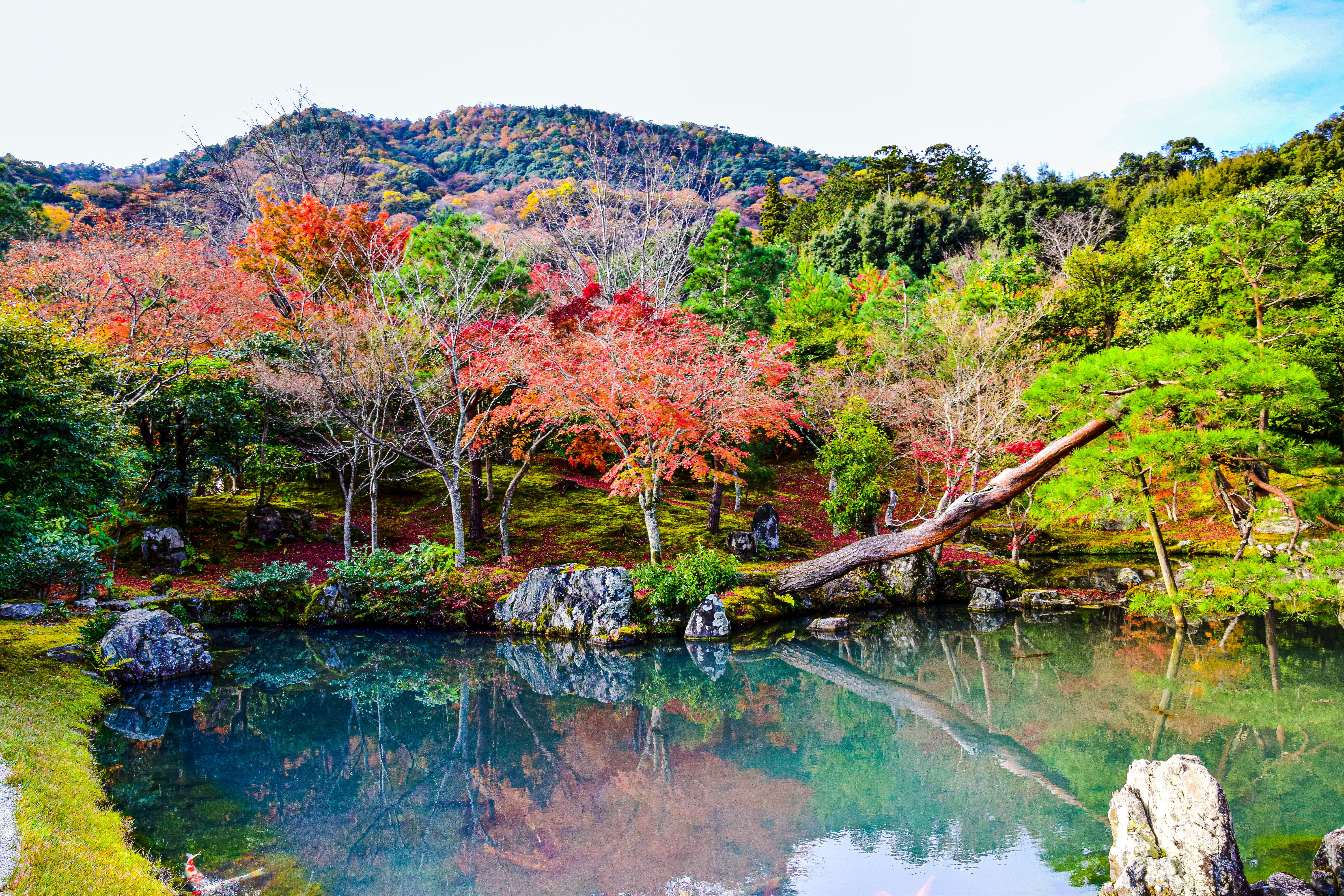 Tenryu-ji