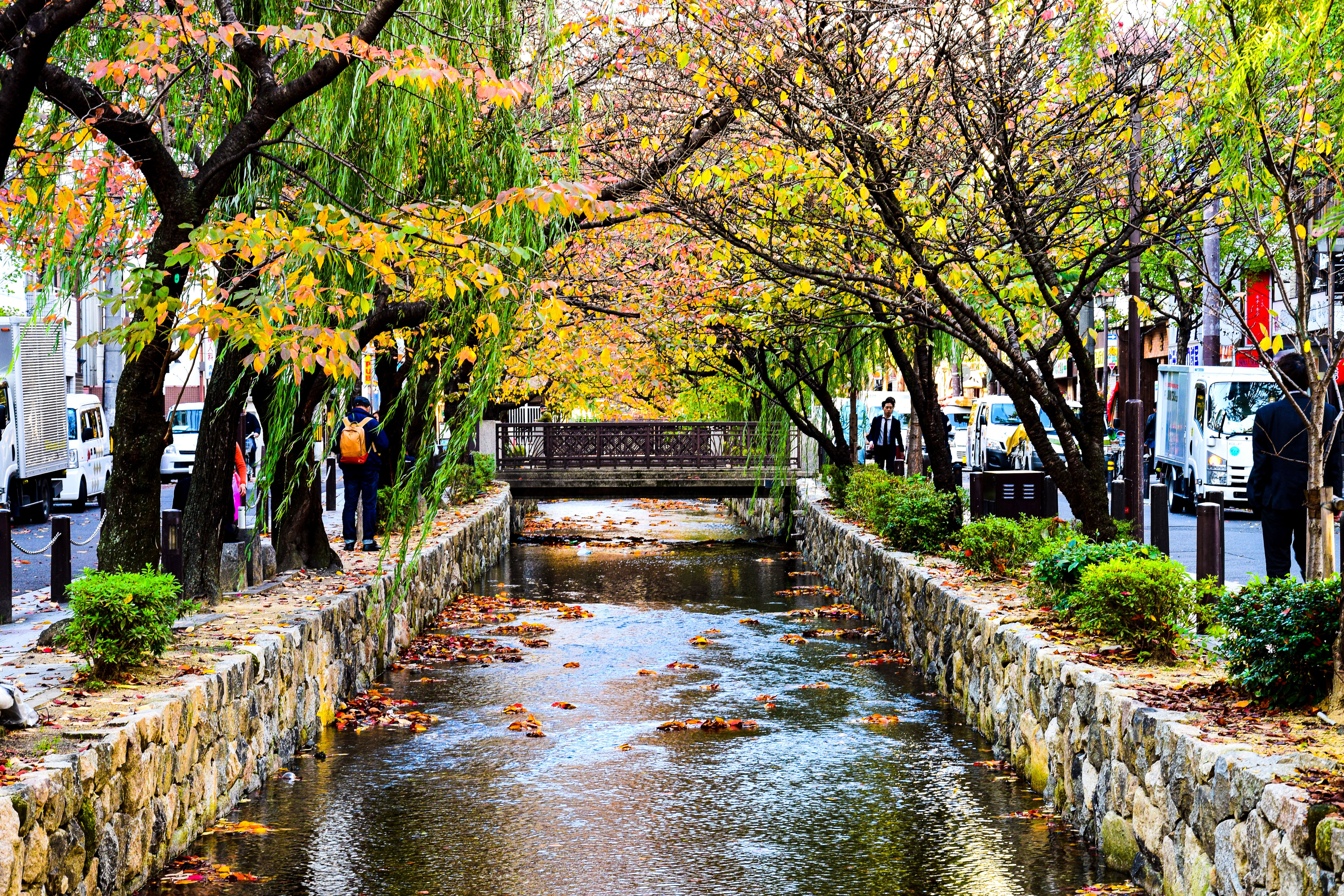 A shallow stone-lined canal under trees turning yellow and orange, with fallen leaves on the water and a small footbridge ahead