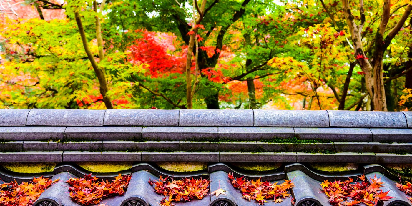 Autumn maple trees in red and orange surrounding a Kyoto temple pagoda