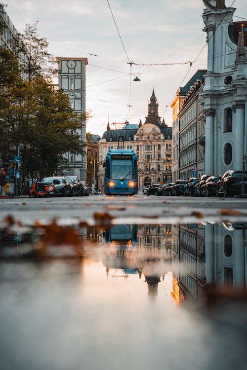 Gratis stockfoto met gebouwen, herfst, omvallen