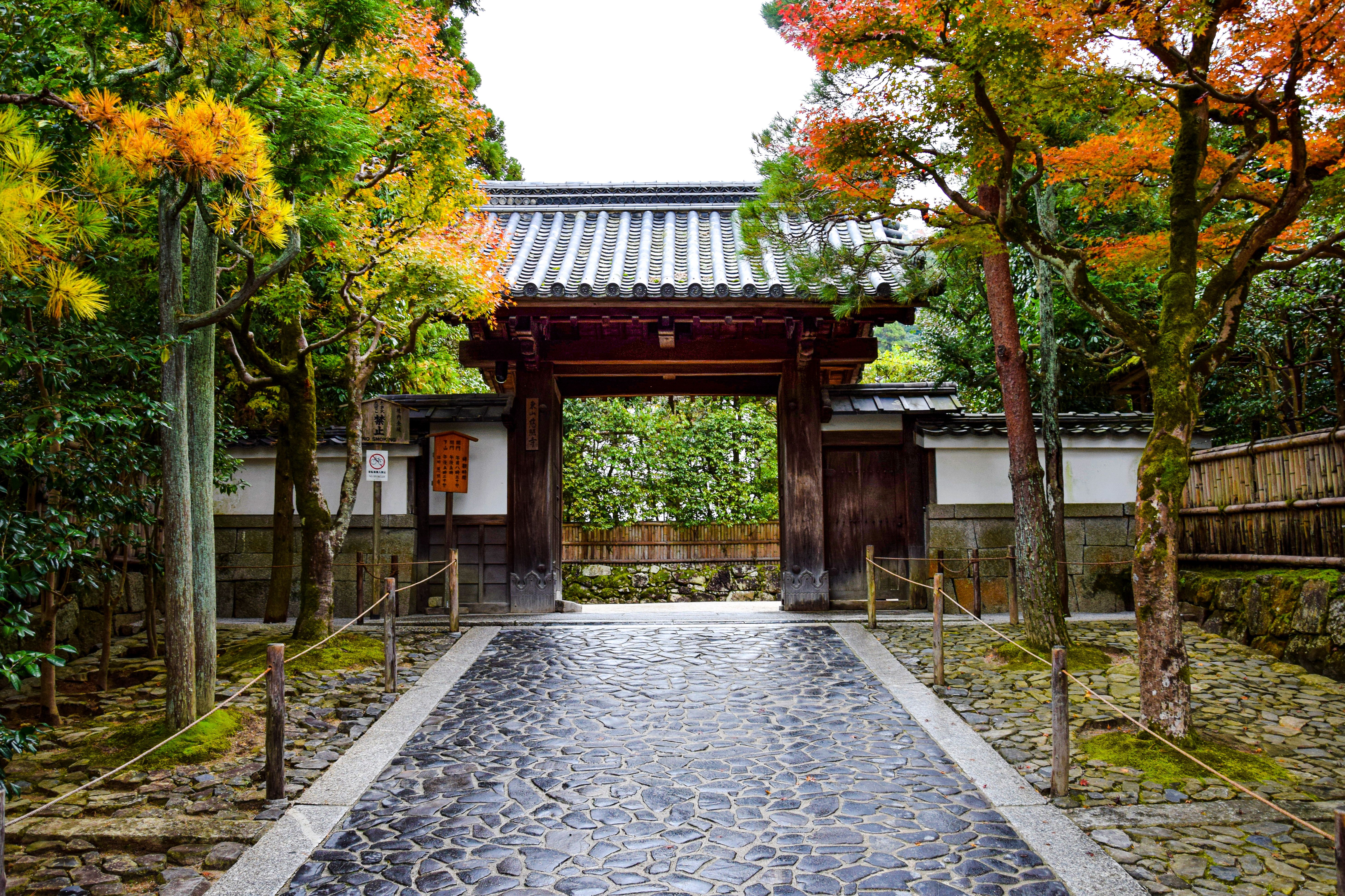 First Time Visiting Kyoto in 2026: Essential Tips, Itineraries, and What to Know Before You Go