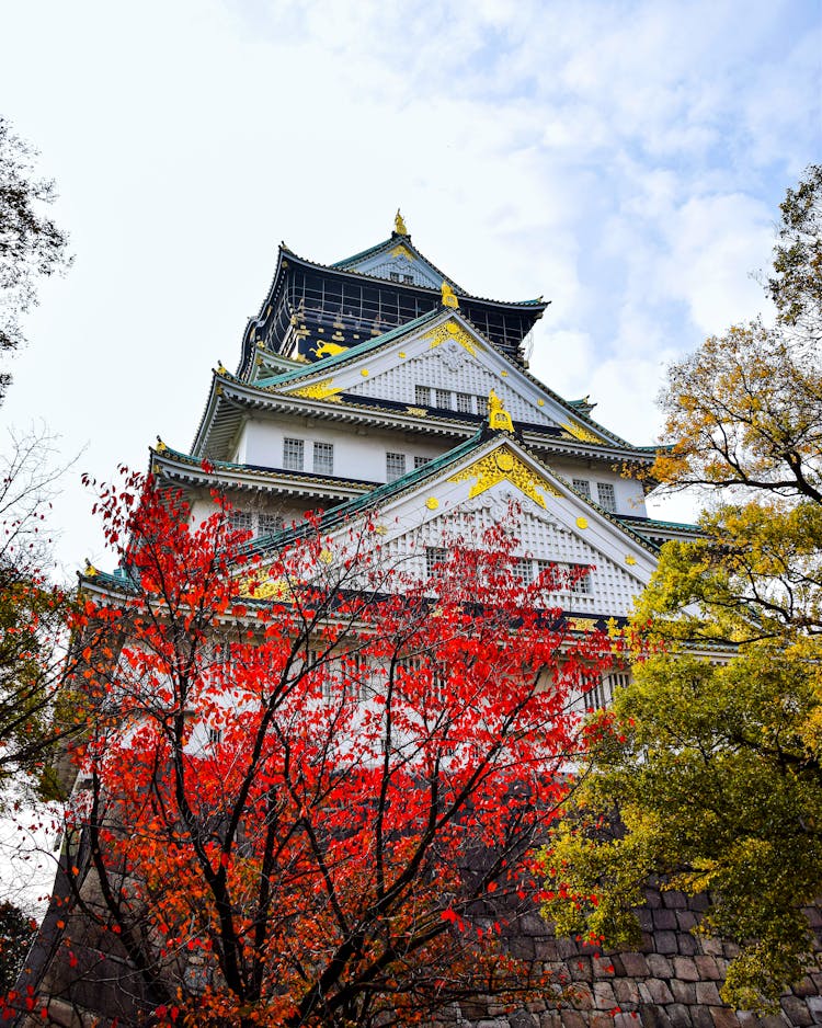 Traditional Temple Among Trees In Kyoto