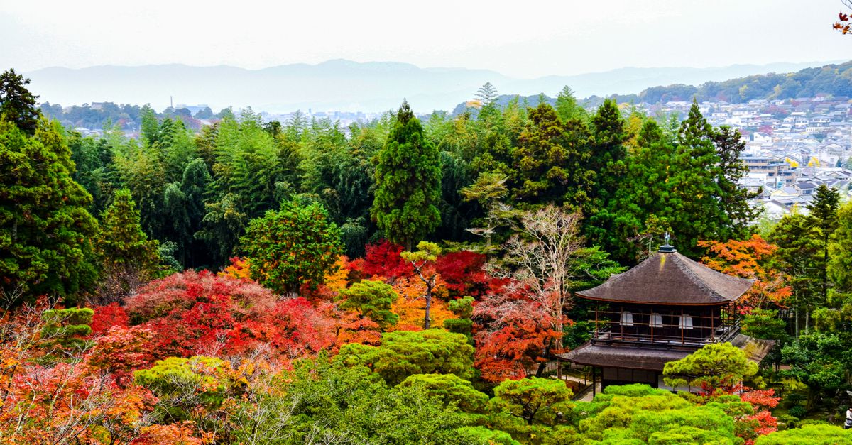 🎌 京都回归!人流调查揭秘日本人对京都的热爱!✨ 🎌 京都回归!人流调查揭秘日本人对京都的热爱!✨
