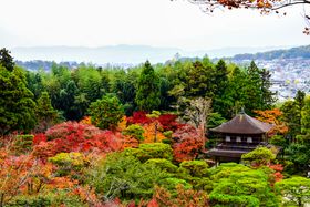 Kyoto temple grounds in autumn foliage — photo by AXP Photography on Pexels