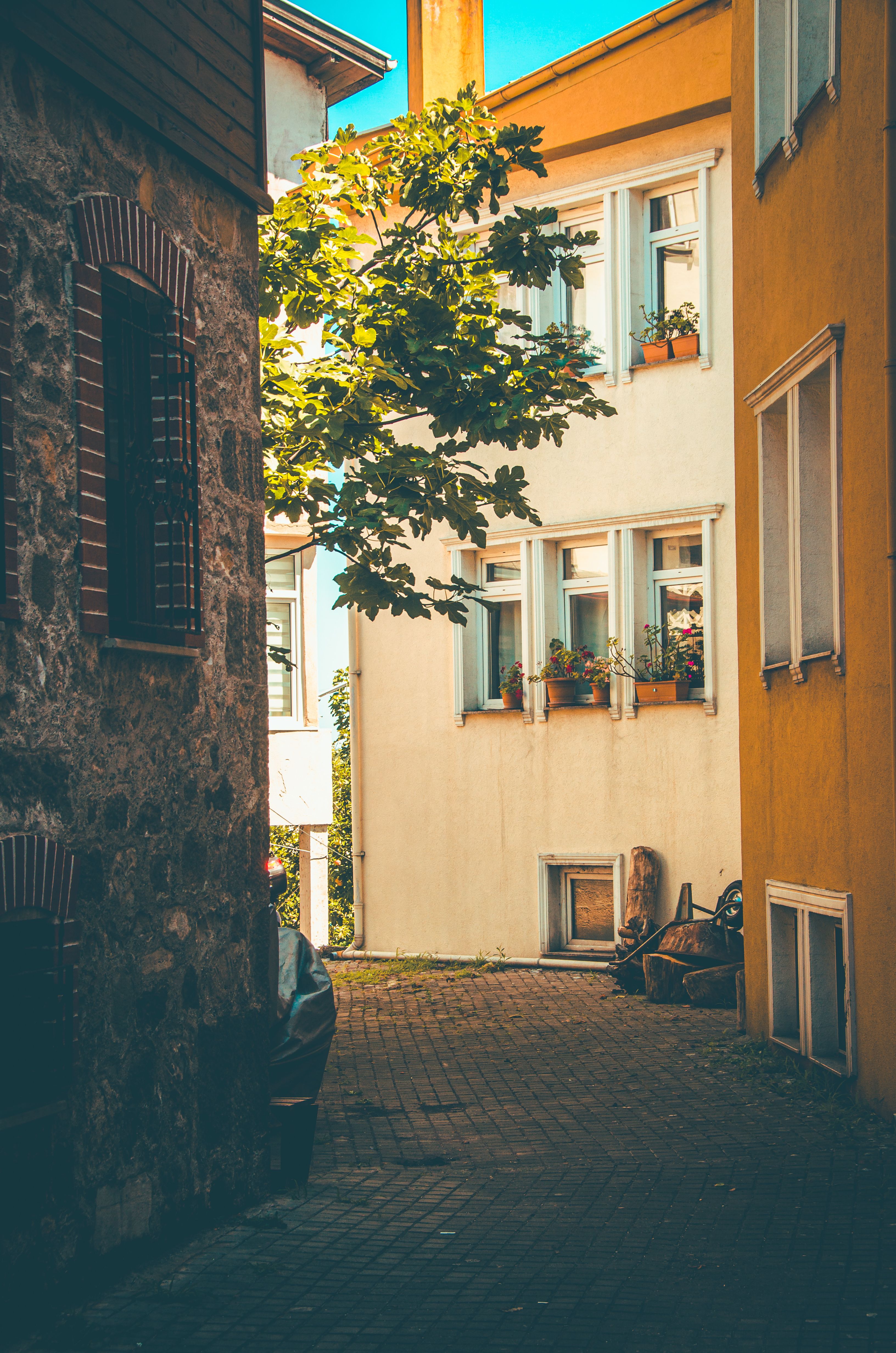 A Narrow Cobblestone Alley between Residential Buildings · Free Stock Photo