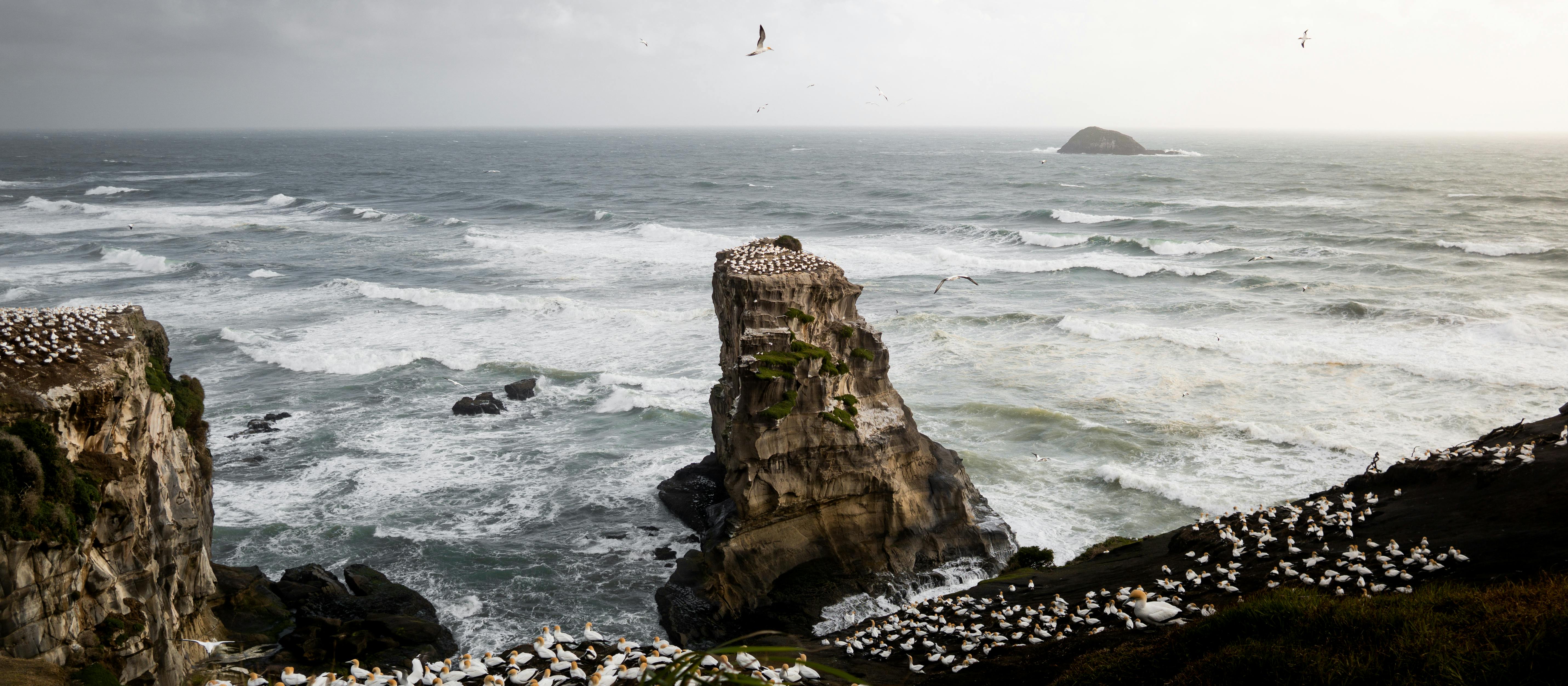 pexels-photo-1884917.jpeg?auto=compress&cs=tinysrgb&h=750&w=1260