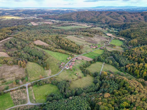 Aerial View of Green Forests and Fields 