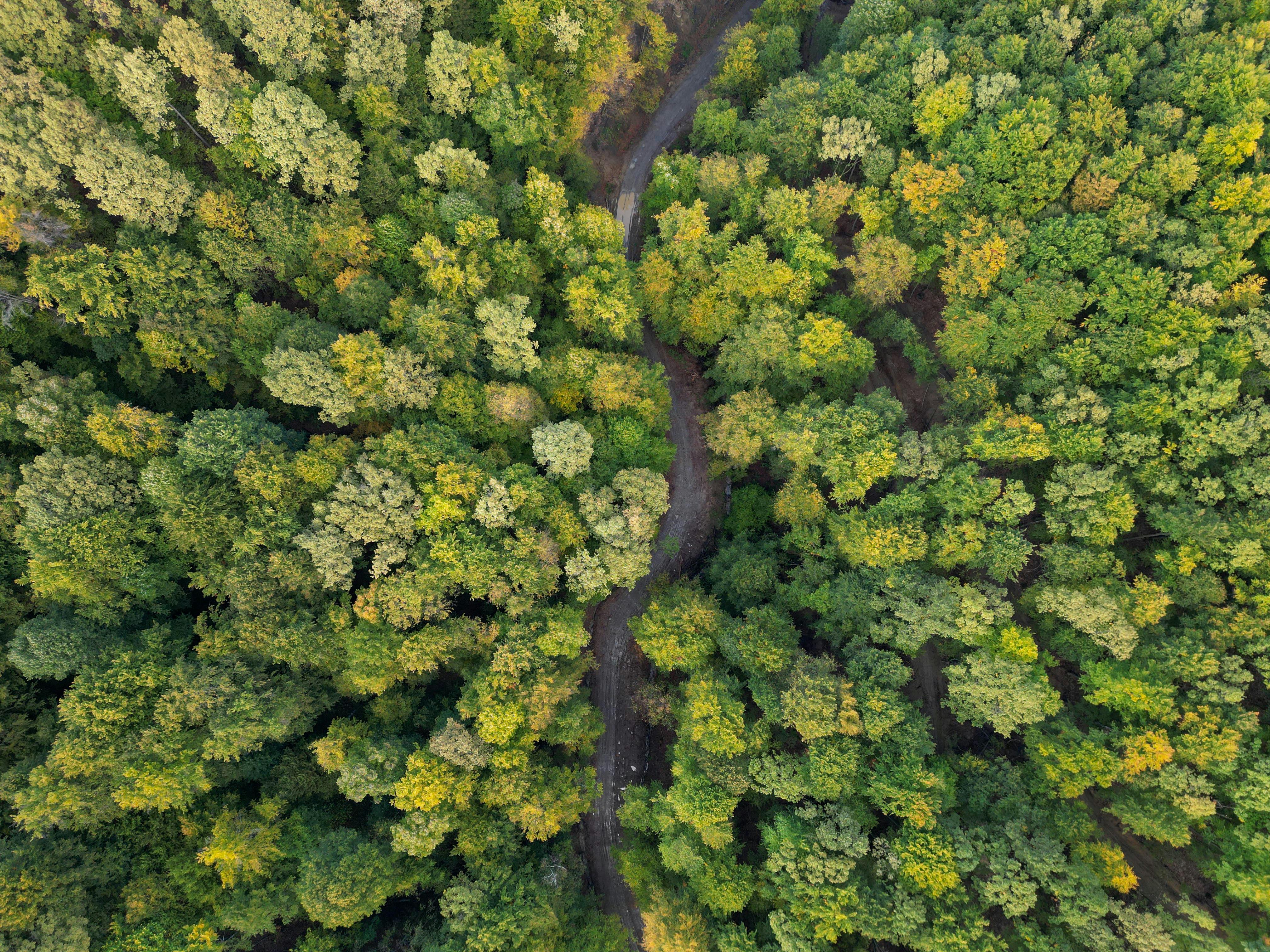 corporate governance esg — Photo by Vladimir Srajber on Pexels