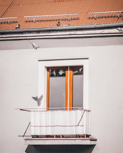 Close-up of a Balcony in a House and Birds Sitting on the Roof 
