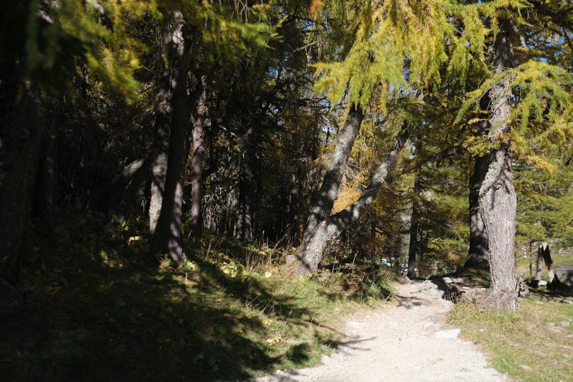 dağ silsilesi, gezinmek, gezmek içeren Ücretsiz stok fotoğraf