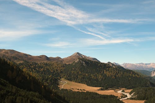 View of Mountains and a Forest in Switzerland 