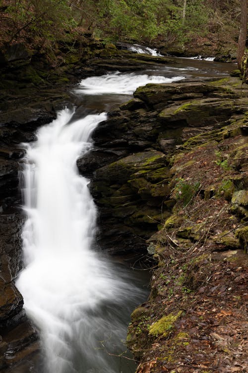 Waterfall on Rocks on Stream