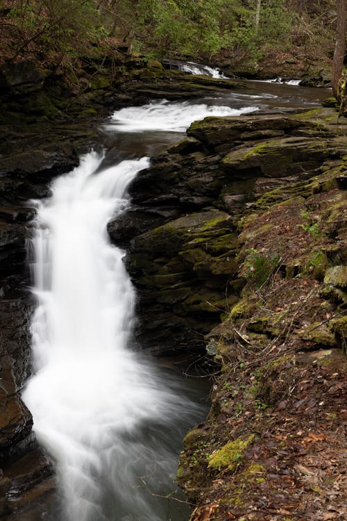 Photos gratuites de cailloux, cascade, eau qui coule