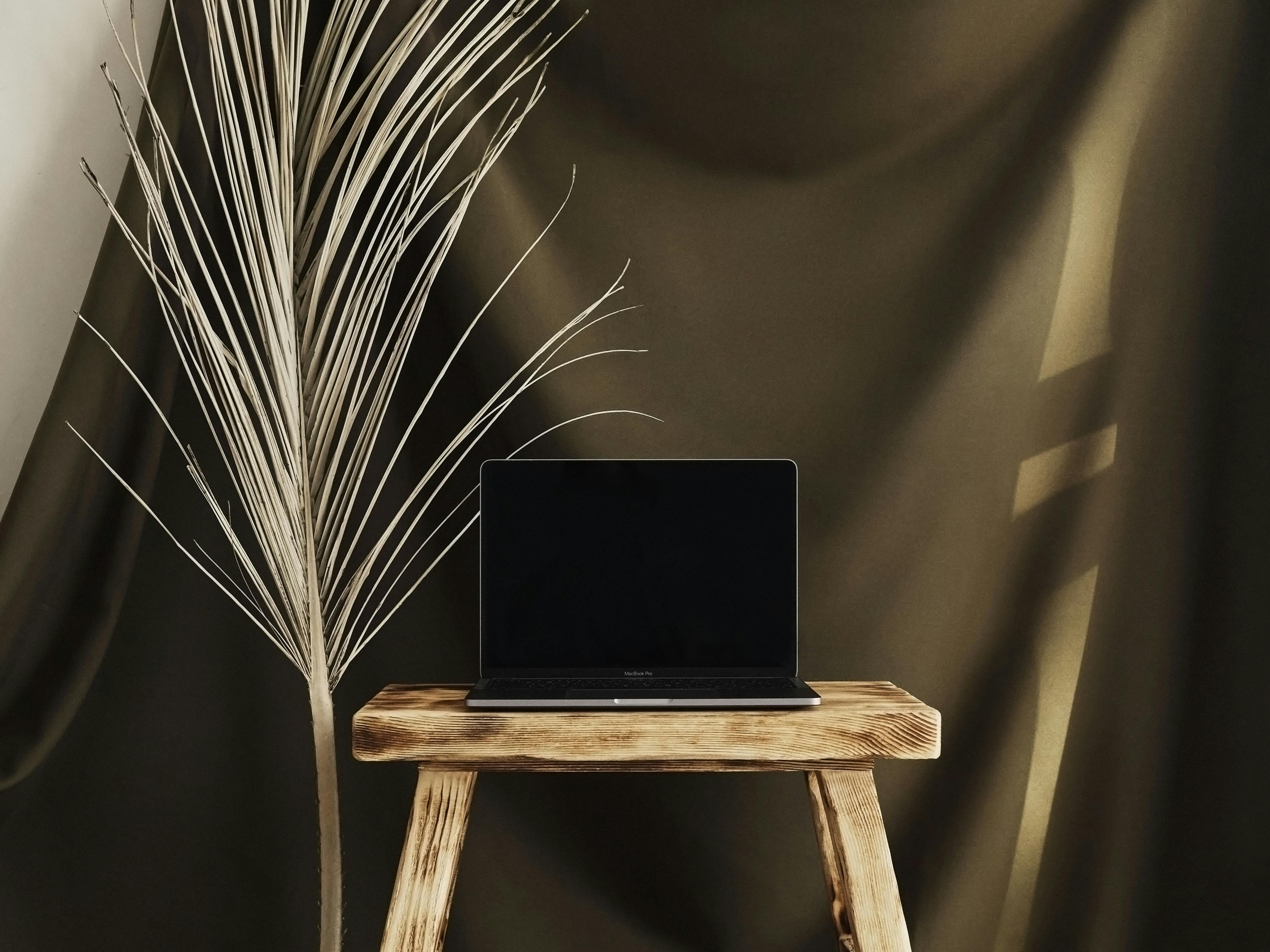 Spring Cleaning Goes Digital: ‘Brunch with Babs’ Shares Tips to Declutter Your Online Life — Photo by Claire  Ló on Pexels