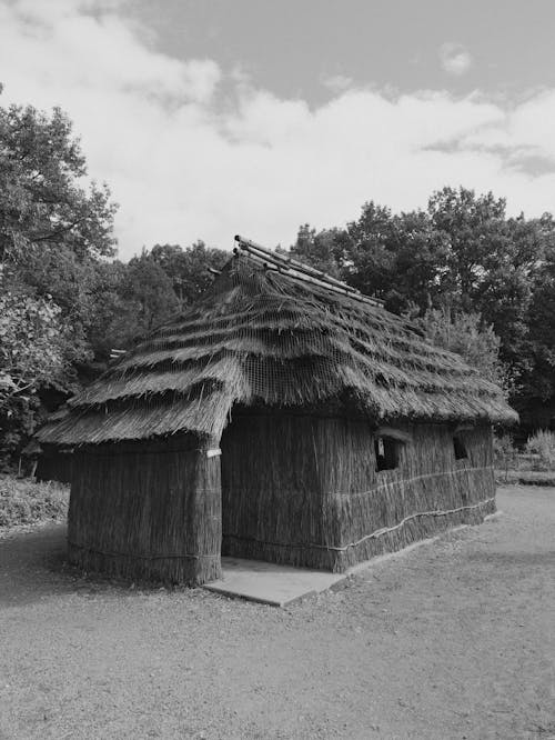 Cottage in Forest in Black and White