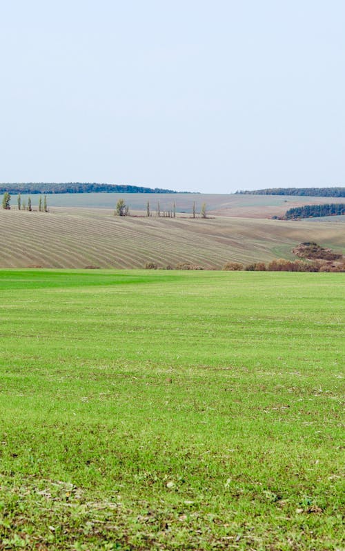 View of Croplands in the Countryside 