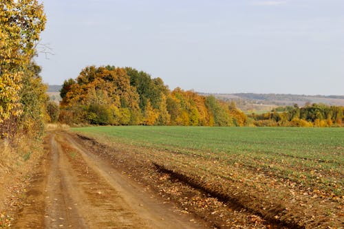 Dirt Road near Rural Field in Countryside