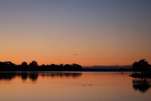 Kostnadsfri bild av reflektion, sjö, sjöstrand