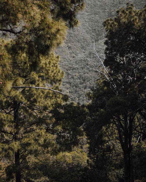 Fotobanka s bezplatnými fotkami na tému @outdoor, 2020 tapety, 4k tapety