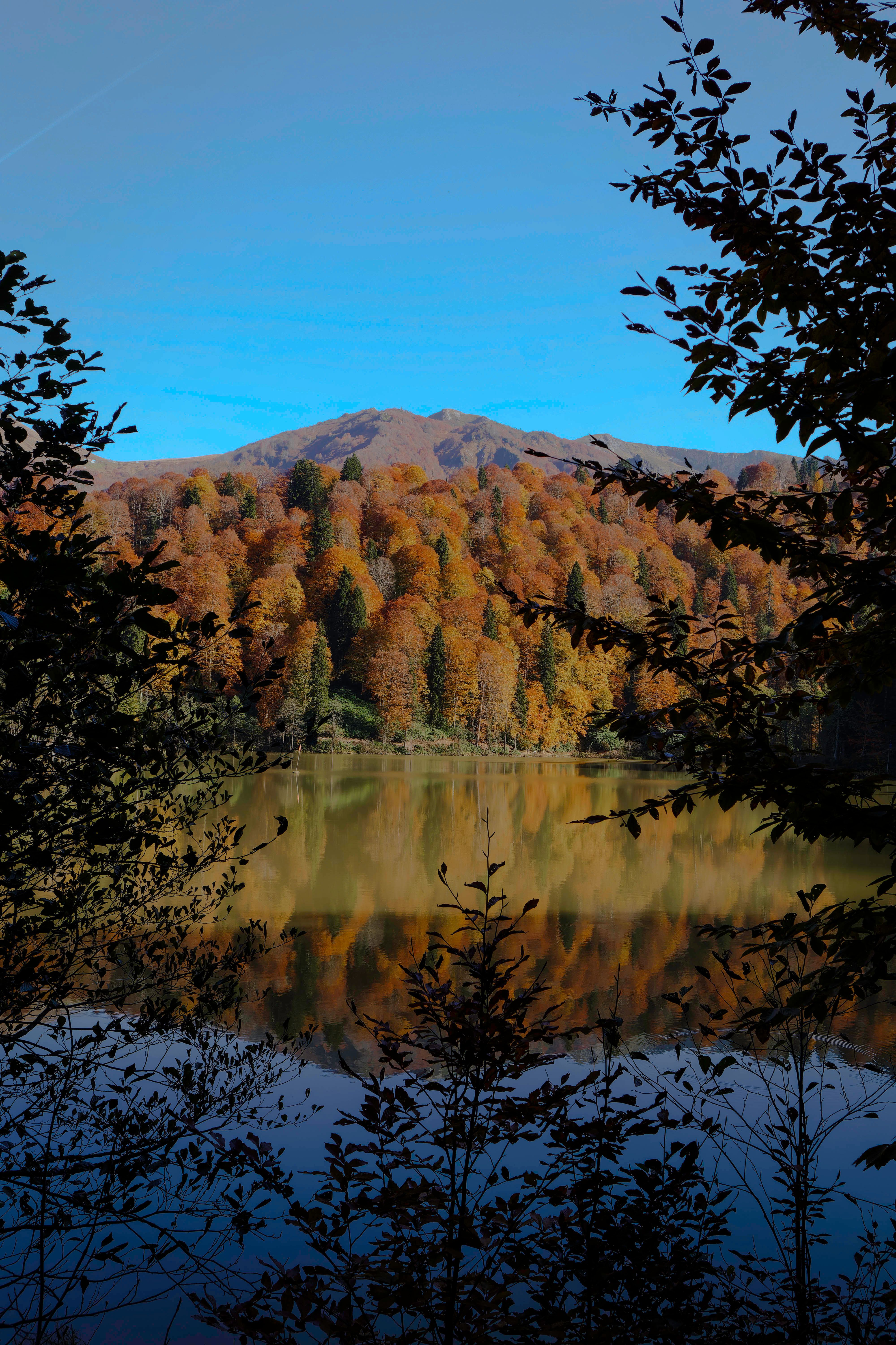Scenic Panorama of Autumn Mountain Forest behind a Placid Lake · Free ...