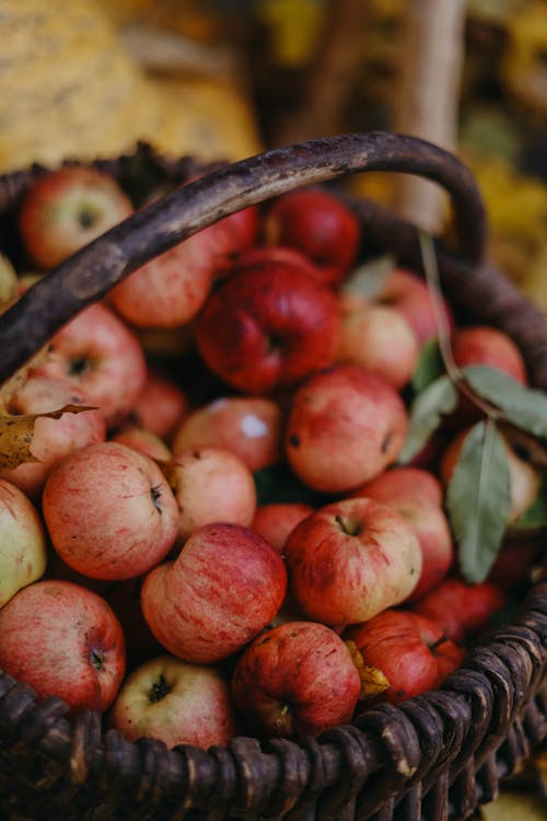 Wicker Basket of Autumnal Apples