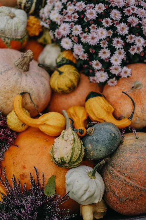 Composition with Pumpkins and Flowers for Halloween