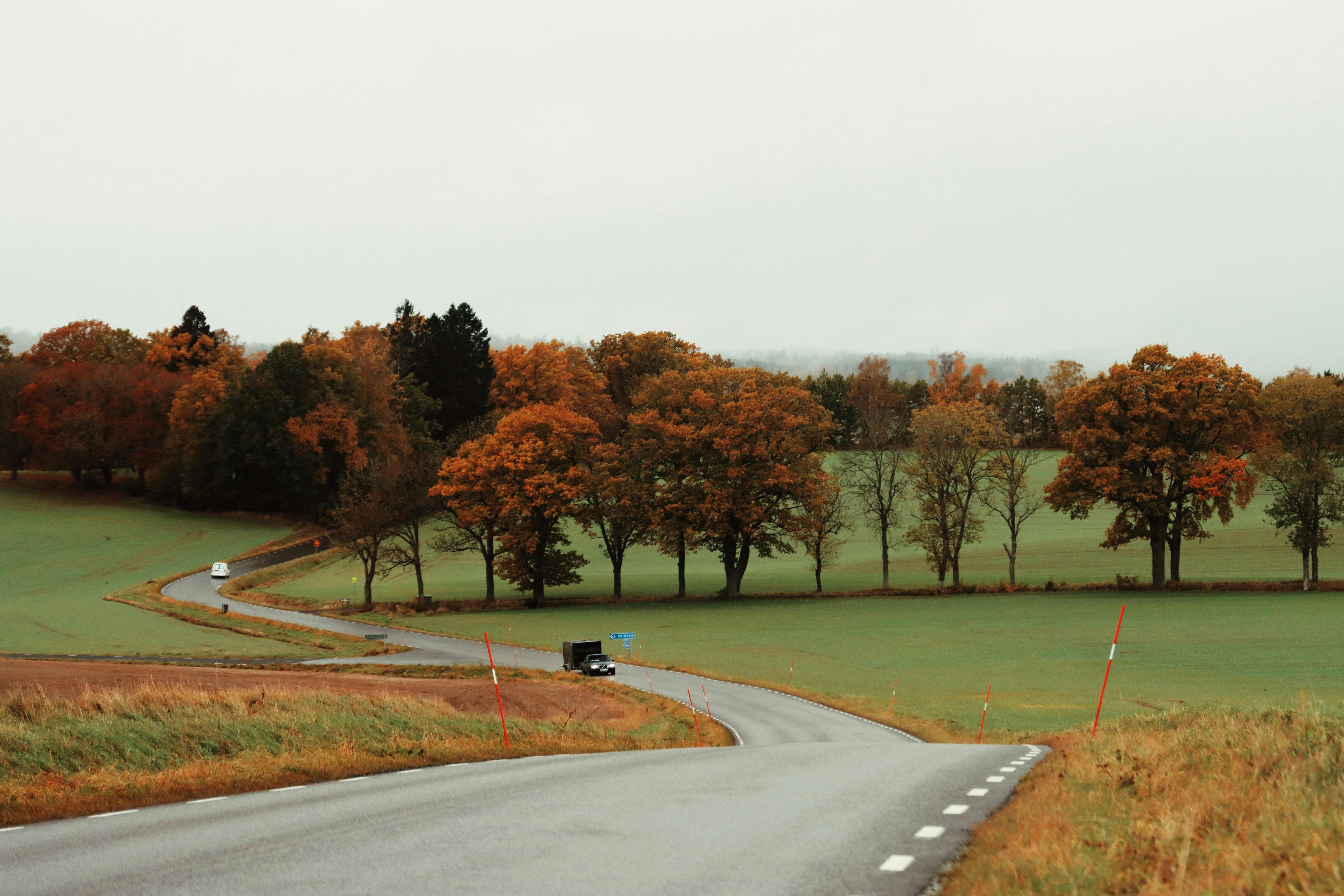 Les tendances 2026 : Roadtrips à thème en France