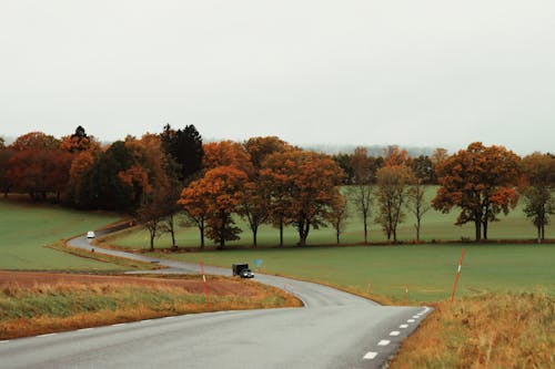 A Car Driving on an Asphalt Road among Fields and Autumnal Trees