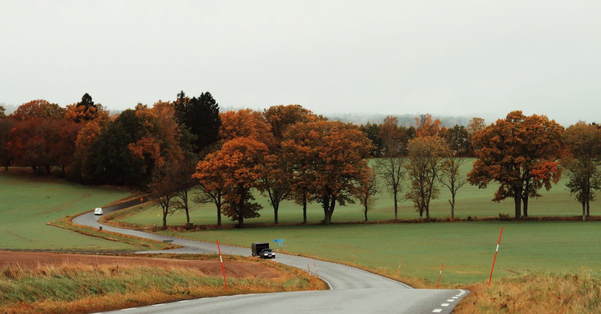 Les tendances 2026 : Roadtrips à thème en France
