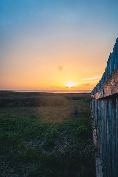 View of a Field at Sunset 